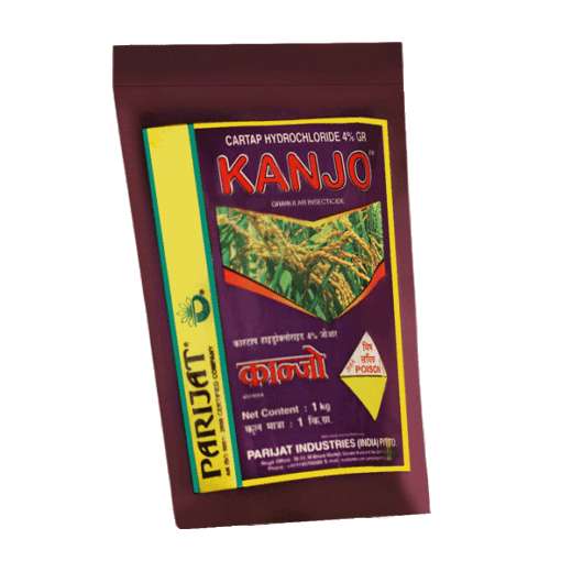 Kanjo By Parijat Industries