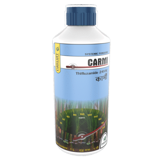 <b>CARMI</b> <br> (Thifluzamide 24% SC)