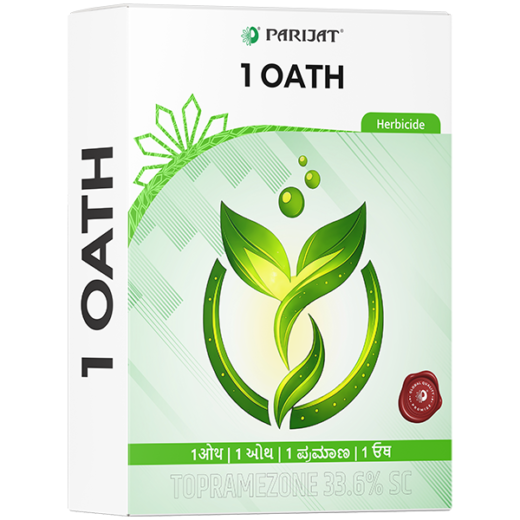 1 Oath