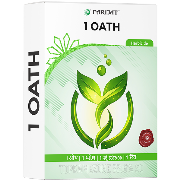 1 Oath