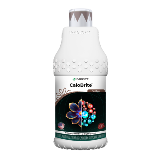 Calobrite