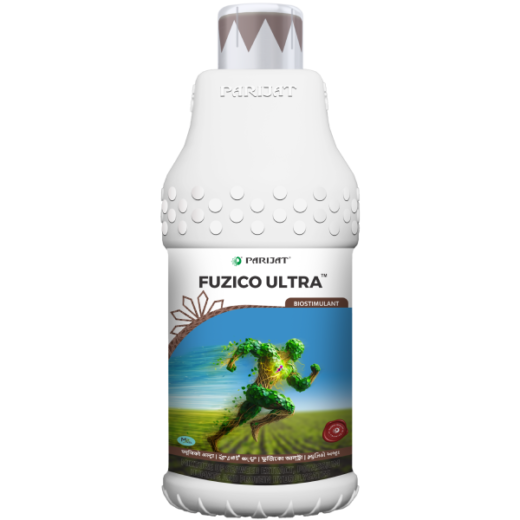 Fuzico Ultra