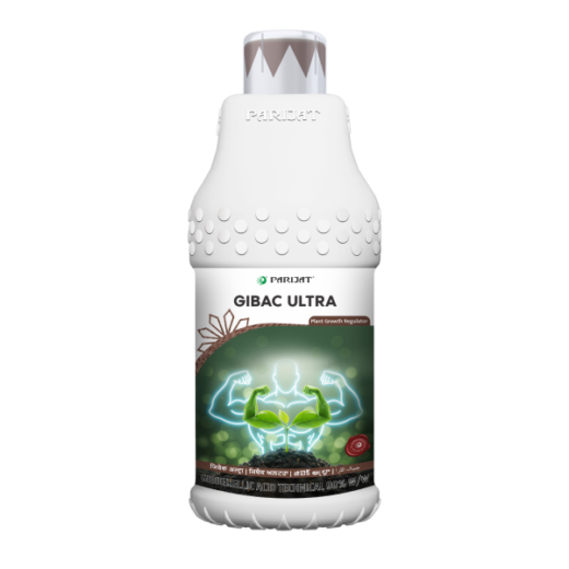 Gibac Ultra