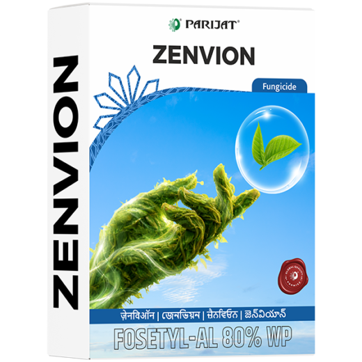 Zenvion